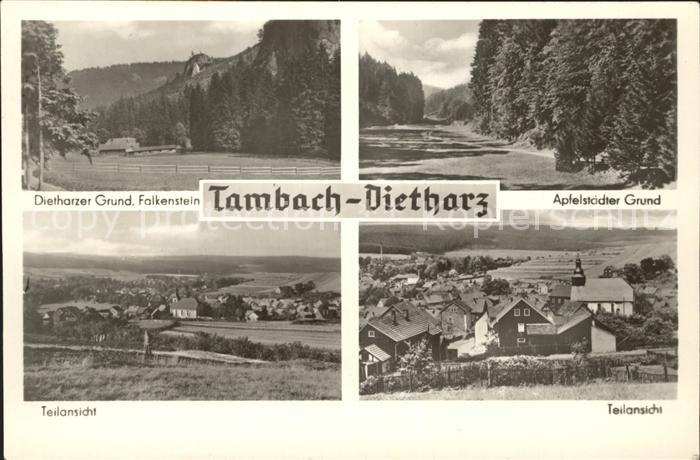 Tambach-Dietharz Apfelstaedter Grund Falkenstein Teilansicht