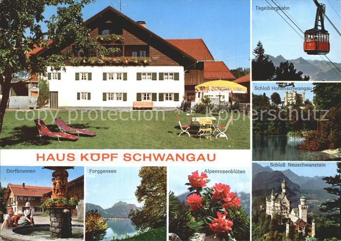 Schwangau Haus Koepf Forggensee Alpenrosenblueten