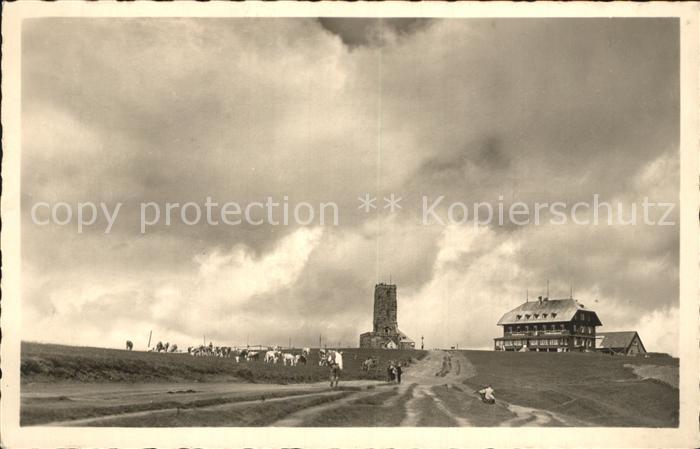 Feldberg Schwarzwald Feldbergturm