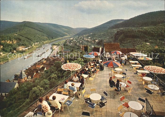 Hirschhorn Neckar Blick von Burgterrasse