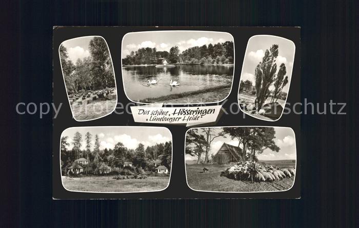 Hoesseringen Lueneburger Heide