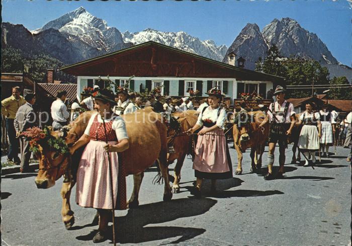 GARMISCH-PARTENKIRCHEN Bayern Almabtrieb Zugspitzgruppe