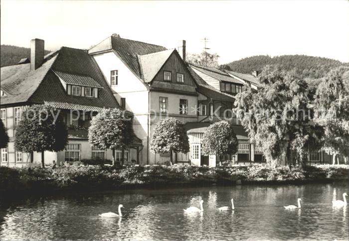 Ilsenburg Harz Forellenteich