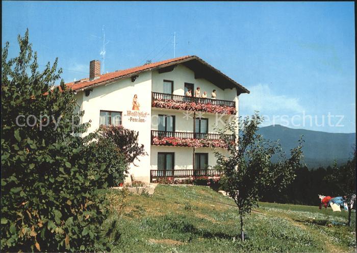 PAssAU Bayern Waldblick Pension