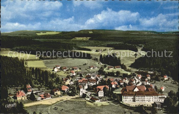 Friedenweiler Fliegeraufnahme