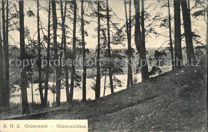 Grunewald Berlin mit Grunewaldsee