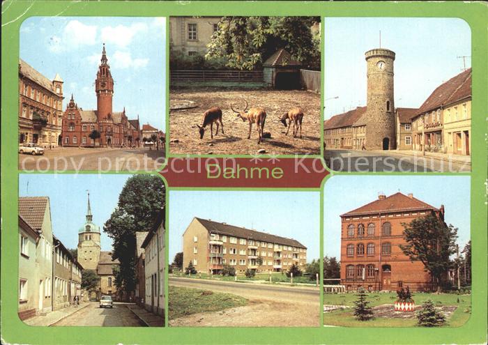 Dahme Mark Rathaus  Tierpark Kirchstrasse Vogelturm