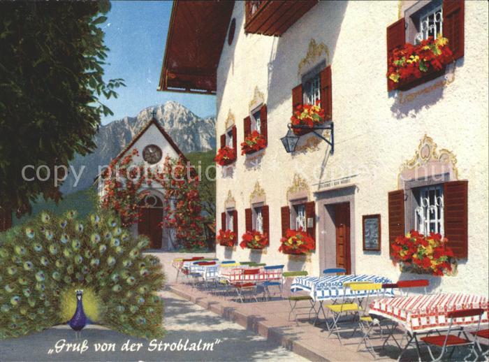 Anger Chiemgau Stroblalm am Hoegl mit Pfau