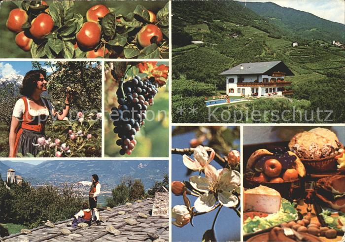 Tscherms Pension Kratzberger Hof