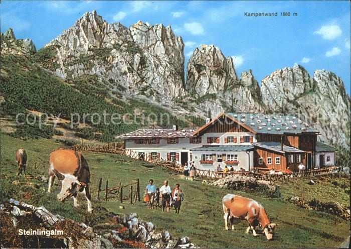 Kampenwand Chiemgau Steinlingalm Kuehe