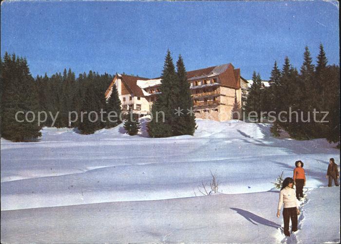 Stana de Vale Hotel Iadolina