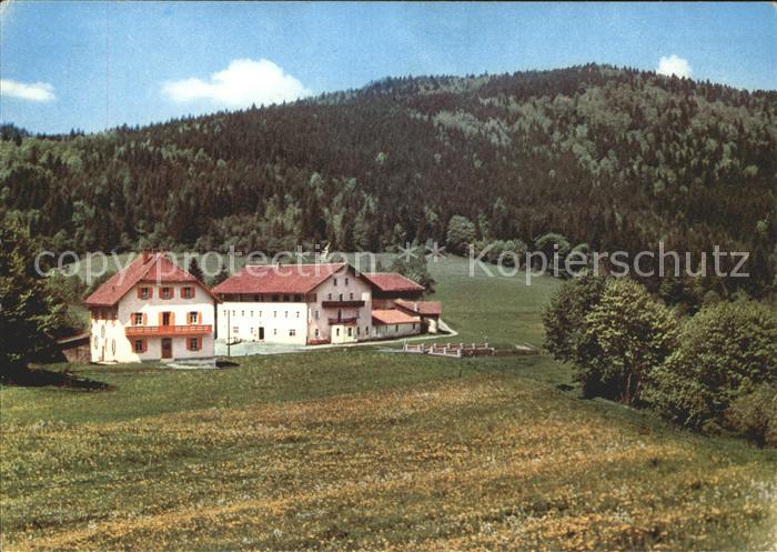 Arrach Berggasthof Pension Eck