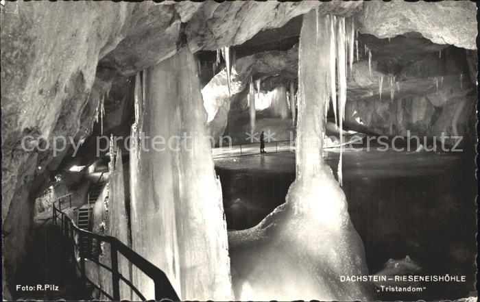 Hoehlen Caves Grottes Dachstein-Rieseneishöhle Tristandom