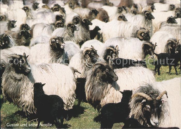 Ziege Gustav und seine Familie