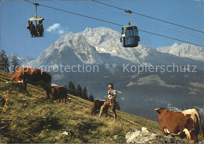 Seilbahn Jenner Watzmann Hochkalter Kuehe
