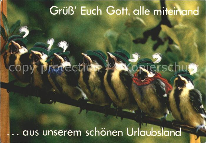 Voegel Birds Oiseaux Uccelli Pajaros-- Hut Schal Fliege