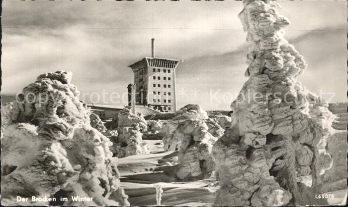 Wernigerode Harz Brocken im Winter