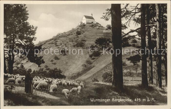 Wurmlingen Rottenburg Bergkapelle Schafherde Schaefer