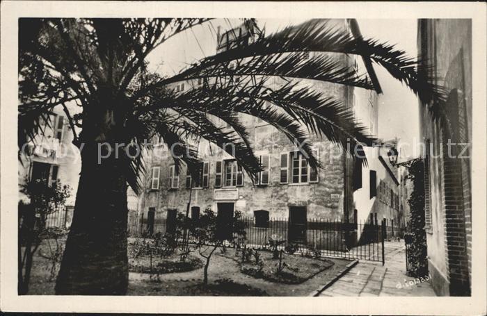 Ajaccio Maison Napoleon Palme