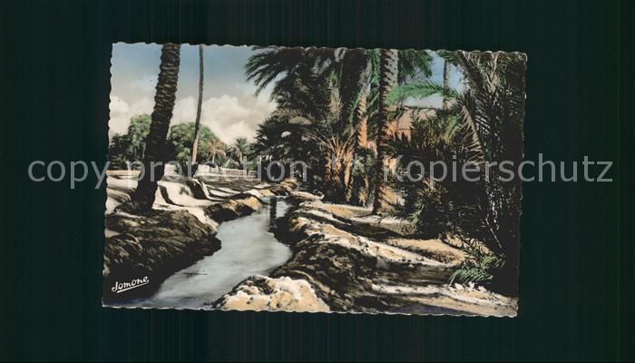 Biskra Une Seghia Flusspartie