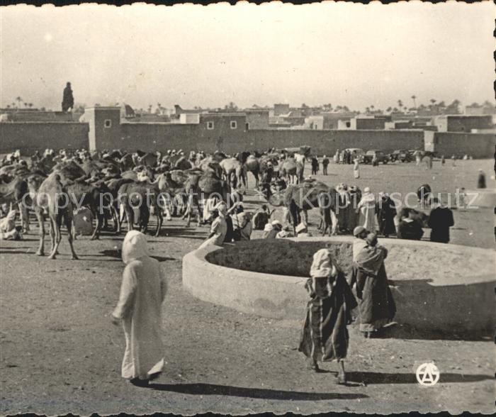 Chameaux Senegal Les Souks Marktszene
