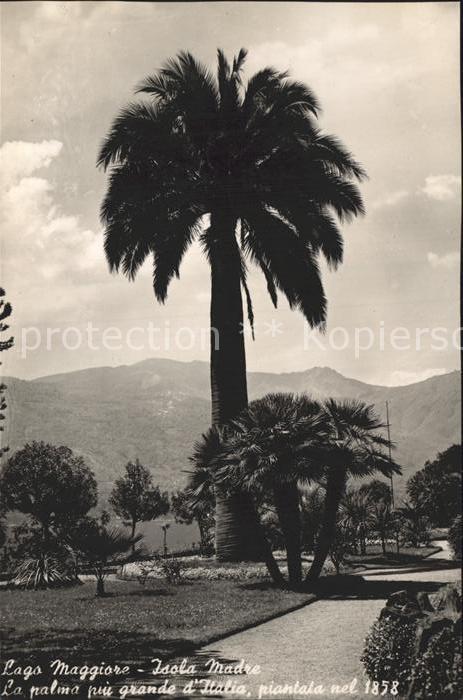 Isola Madre Lago Maggiore Lago Maggiore