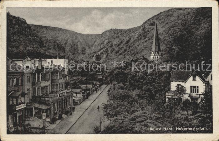 Thale Harz Hubertusstrasse