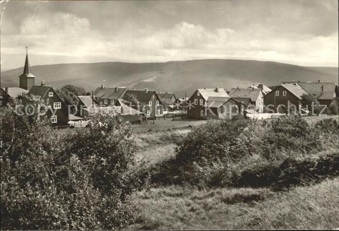 Masserberg Wurzelberg