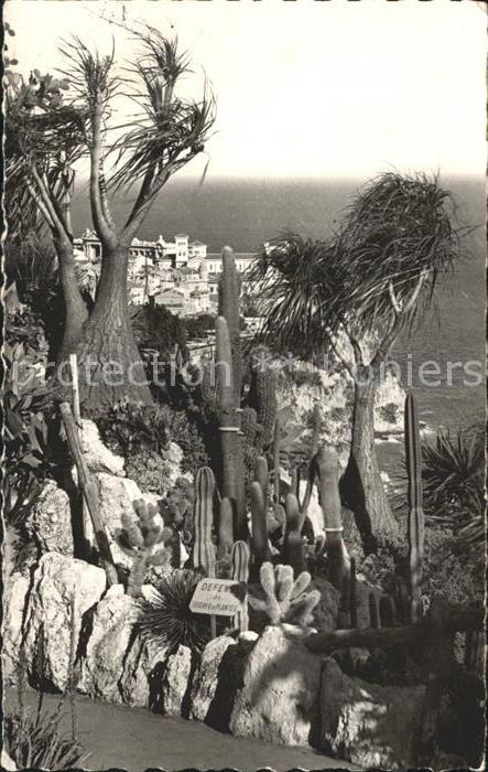 Monaco Jardin
