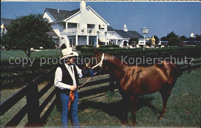 Dallas Texas Horse Southfork Ranch