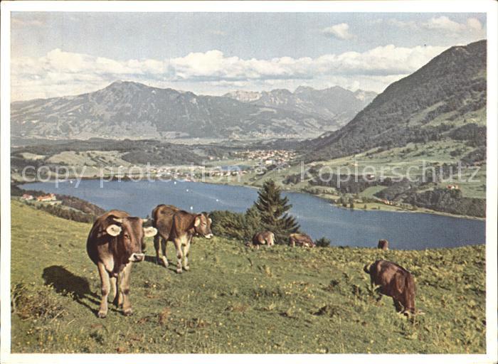 Immenstadt Allgaeu Buehl grosse kleine Alpsee Jllertal Berge Waelder Kuehe