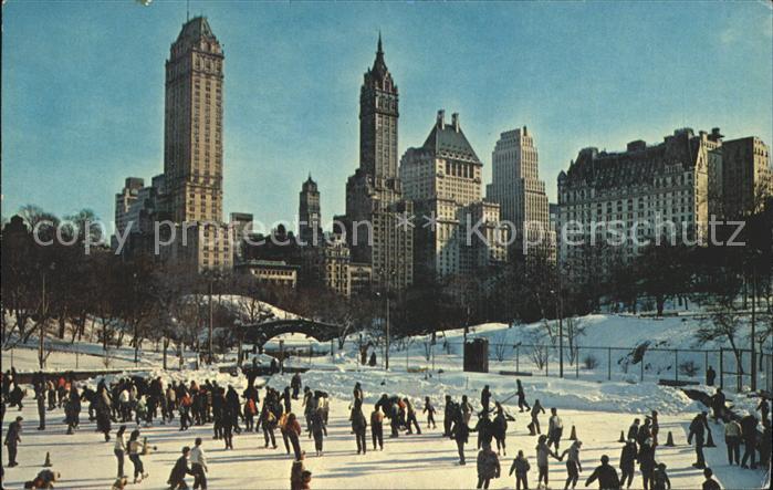 New York City Winter in Central Park