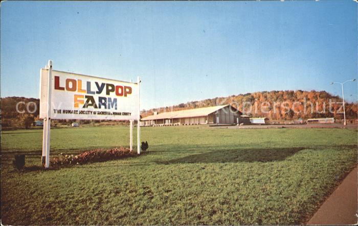 Rochester New York Lollypop Farm