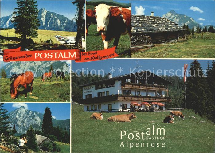Strobl Postalm Gasthof Alpenrose