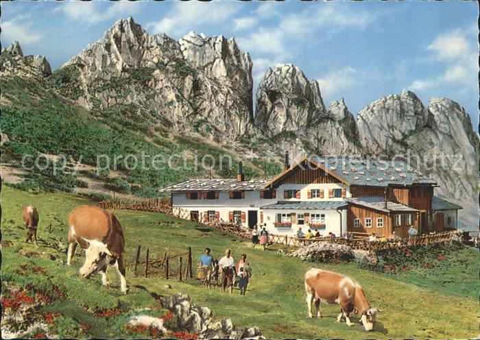 Aschau Chiemgau Steinlingalm Karpenwand Kuh