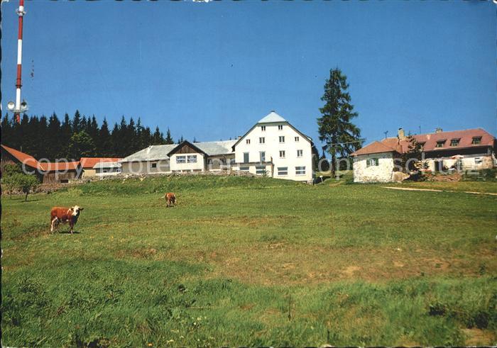Gramastetten Gasthaus Hengstschlaeger