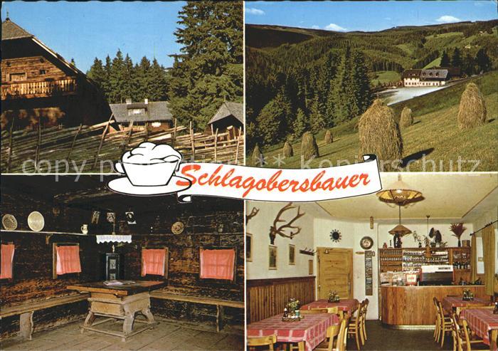 Alpl Geburtshaus Rosegger Gasthof Schlagobersbauer