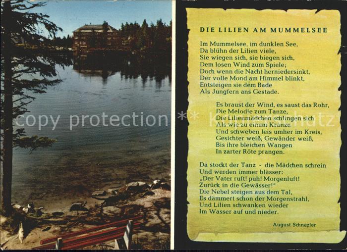 Mummelsee Die Lilien am Mummelsee