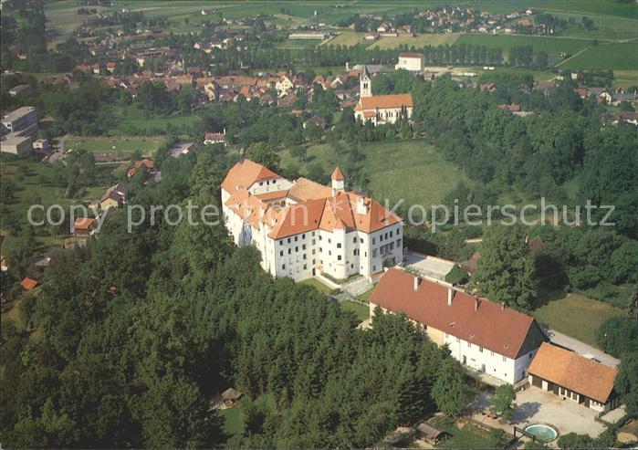 Ortenburg Fliegeraufnahme Schloss Ortenburg