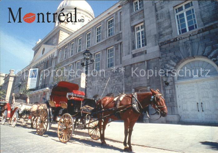 Montreal Quebec Caleches devant le Marche Bonsecours Pferdedroschke