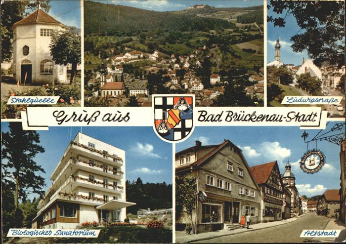 Bad Brueckenau Stahlquelle Ludwigstrasse Altstadt Biologisches Sanatorium