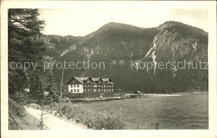 Plansee Planseehotel Forelle