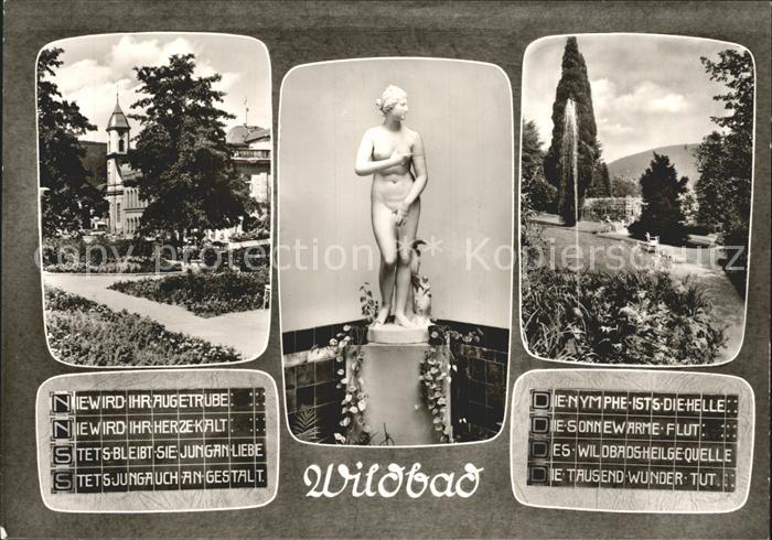 Wildbad Schwarzwald Statue Brunnen Schloss