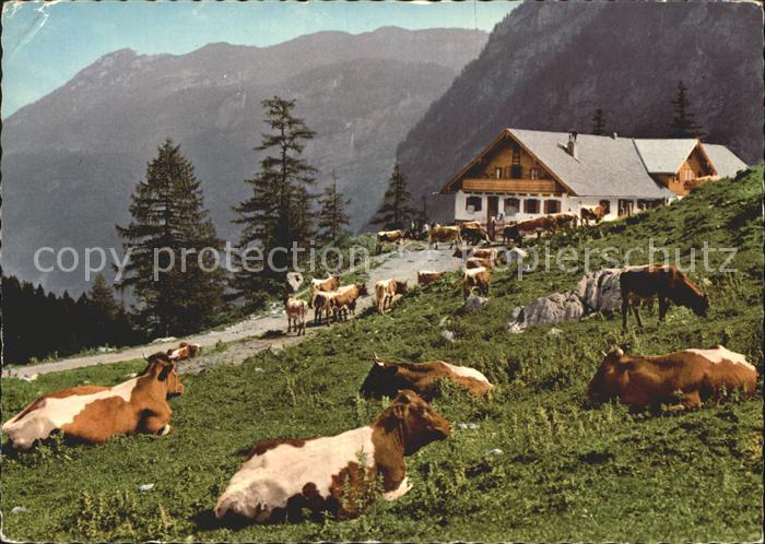 Golling Salzach Jochalm Bluntautal