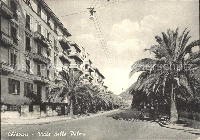 Chiavari Viale della Palme