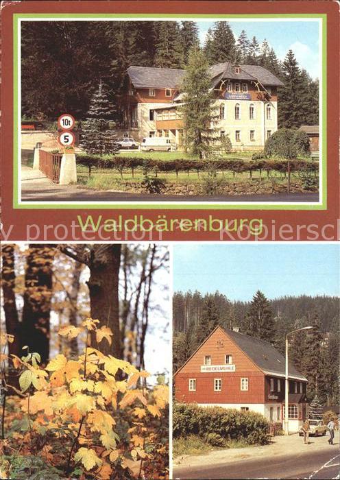 Waldbaerenburg Ferienheim Schaefermuehle Riedelmuehle