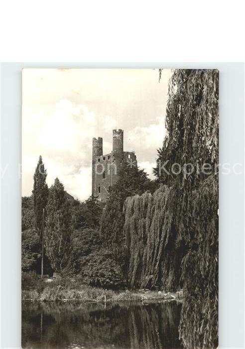 Saalfeld Saale mit Hohem Schwarm