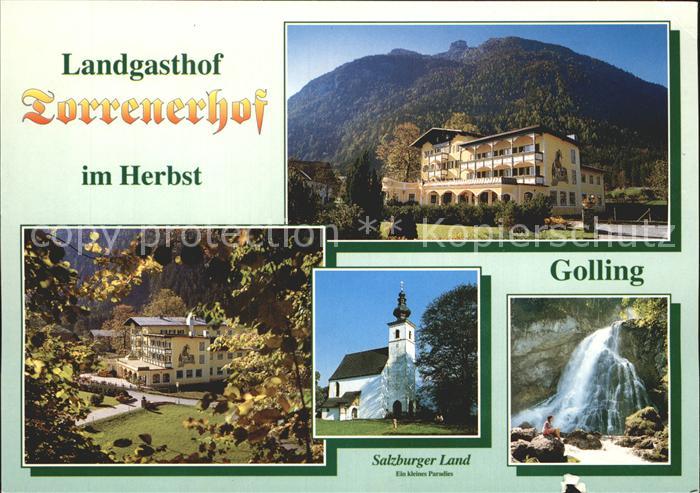 Golling Salzach Landgasthof Torrenerhof