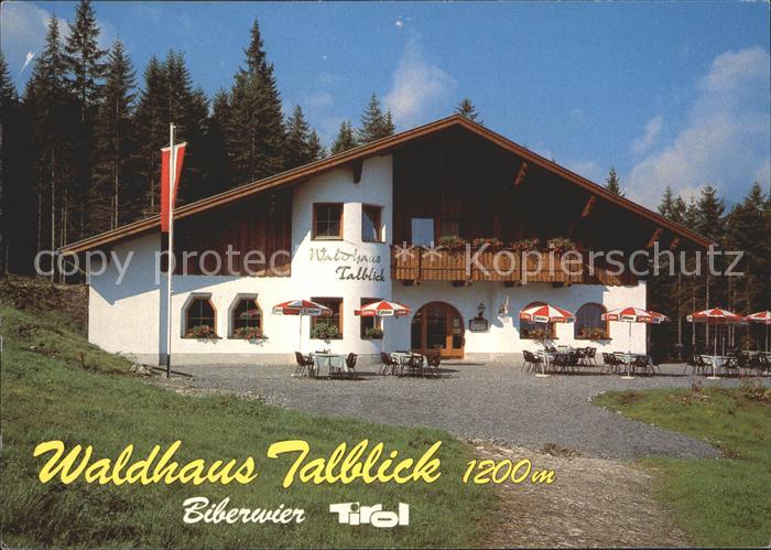Biberwier Tirol Waldhaus Talblick