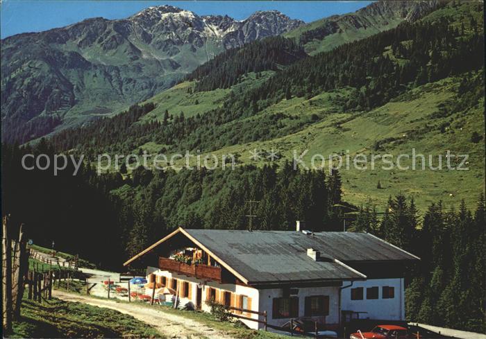Wildschoenau Tirol Wandergebiet Schoenangeralm
